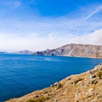 Портфолио Alexandr Berezhnoi